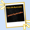 Jesień bystrzaka