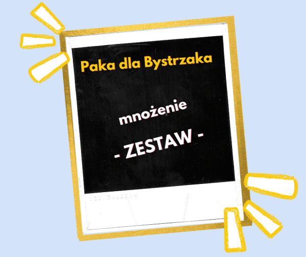 Mnożenie. Zestaw.