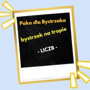 Bystrzak na tropie liczb.