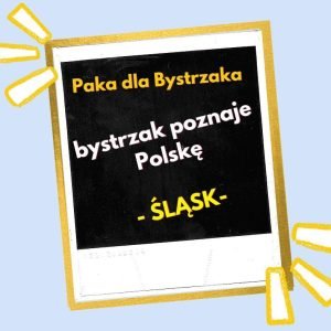 Bystrzak poznaje Polskę. Śląsk