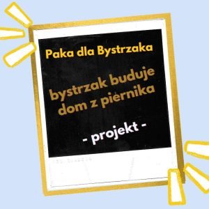 bystrzak buduje domek z piernika- projekt.