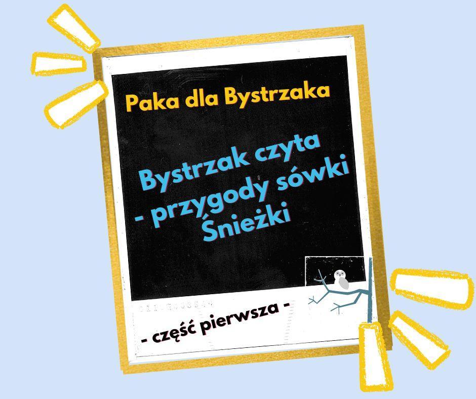 Bystrzak czyta- przygody sówki Śnieżki. Część pierwsza.