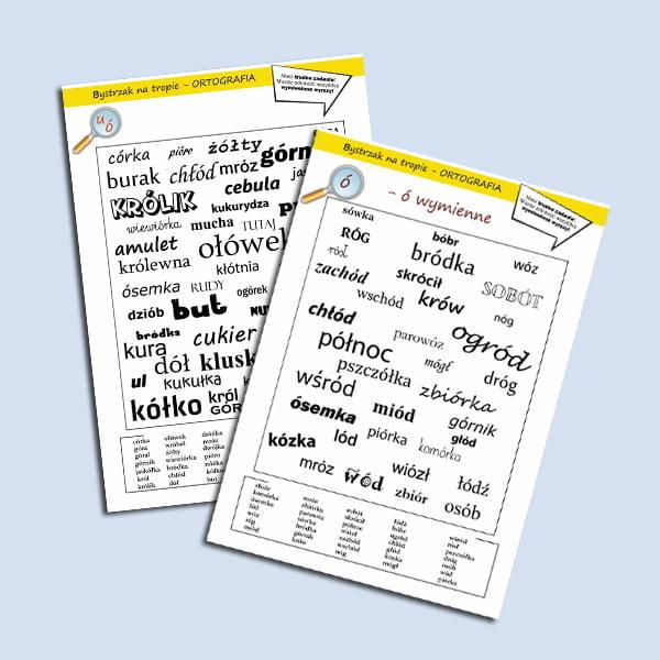 Bystrzak na tropie- Ortografia