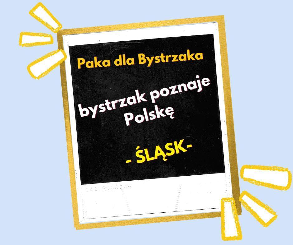 Bystrzak poznaje Polskę. Śląsk Bystrzak poznaje Polskę. Śląsk