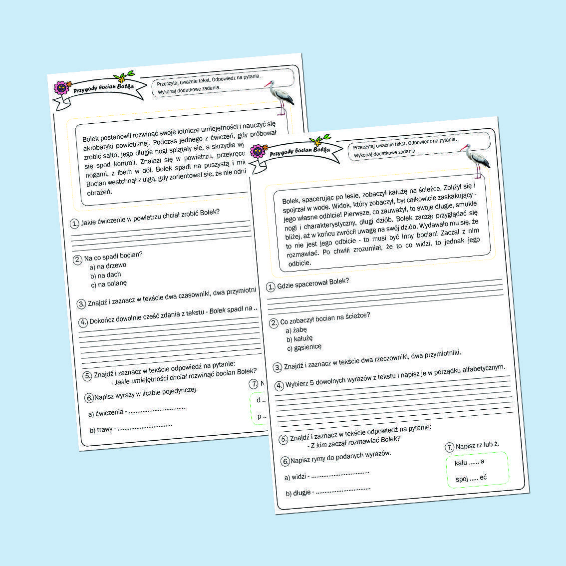 Bystrzak czyta. Przygody bociana Bolka.