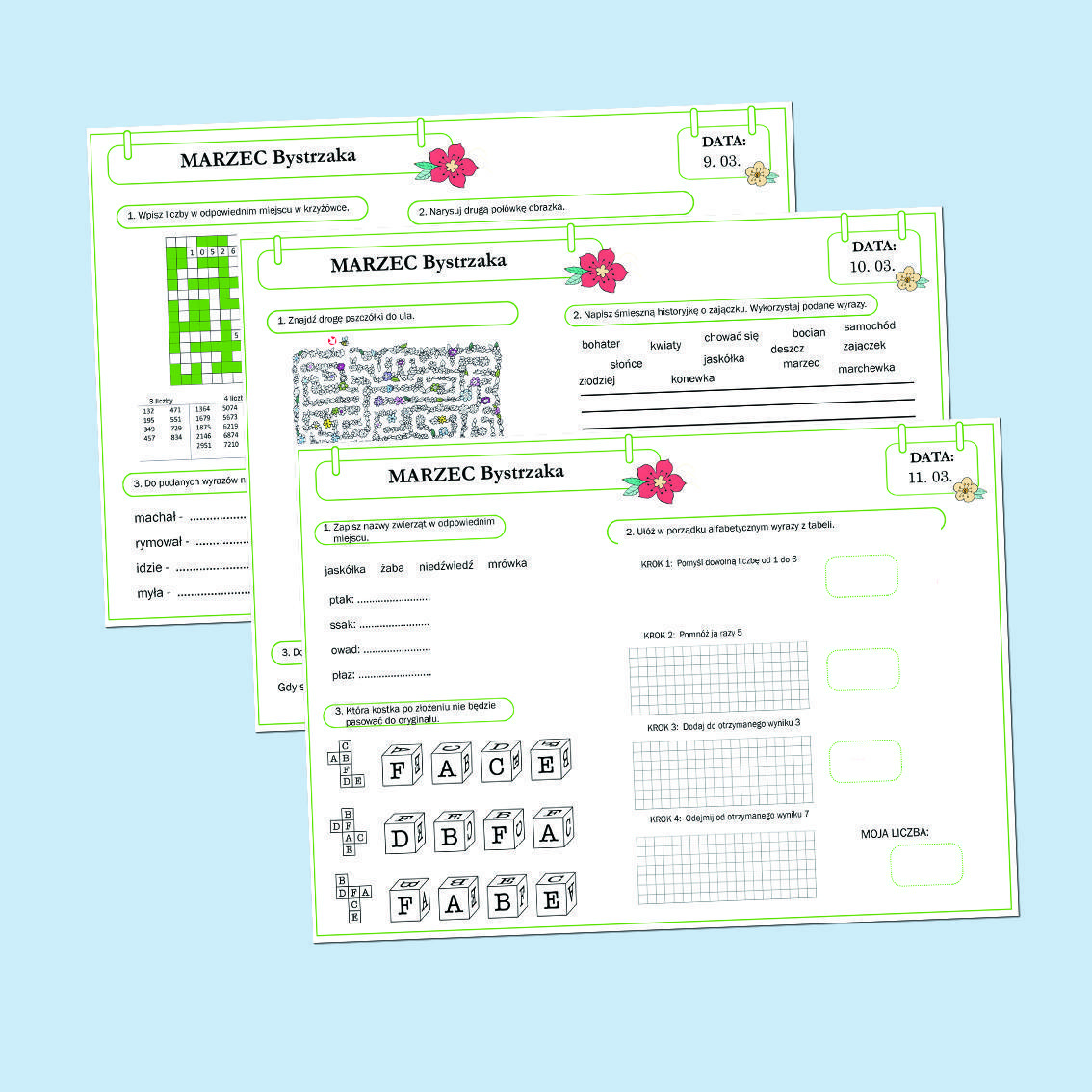 Marzec Bystrzaka. Zestaw.