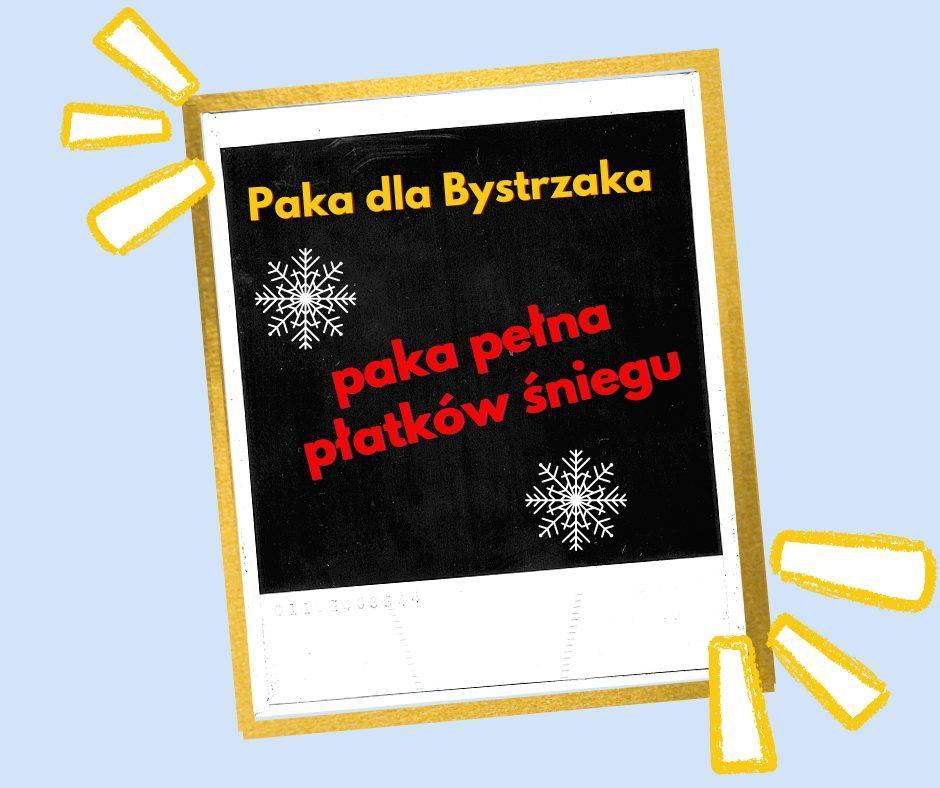 paka pełna płatków śniegu paka pełna płatków śniegu