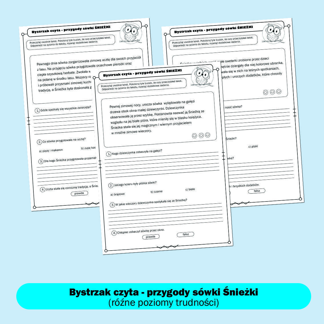 Bystrzak czyta- przygody sówki Śnieżki. Część pierwsza.