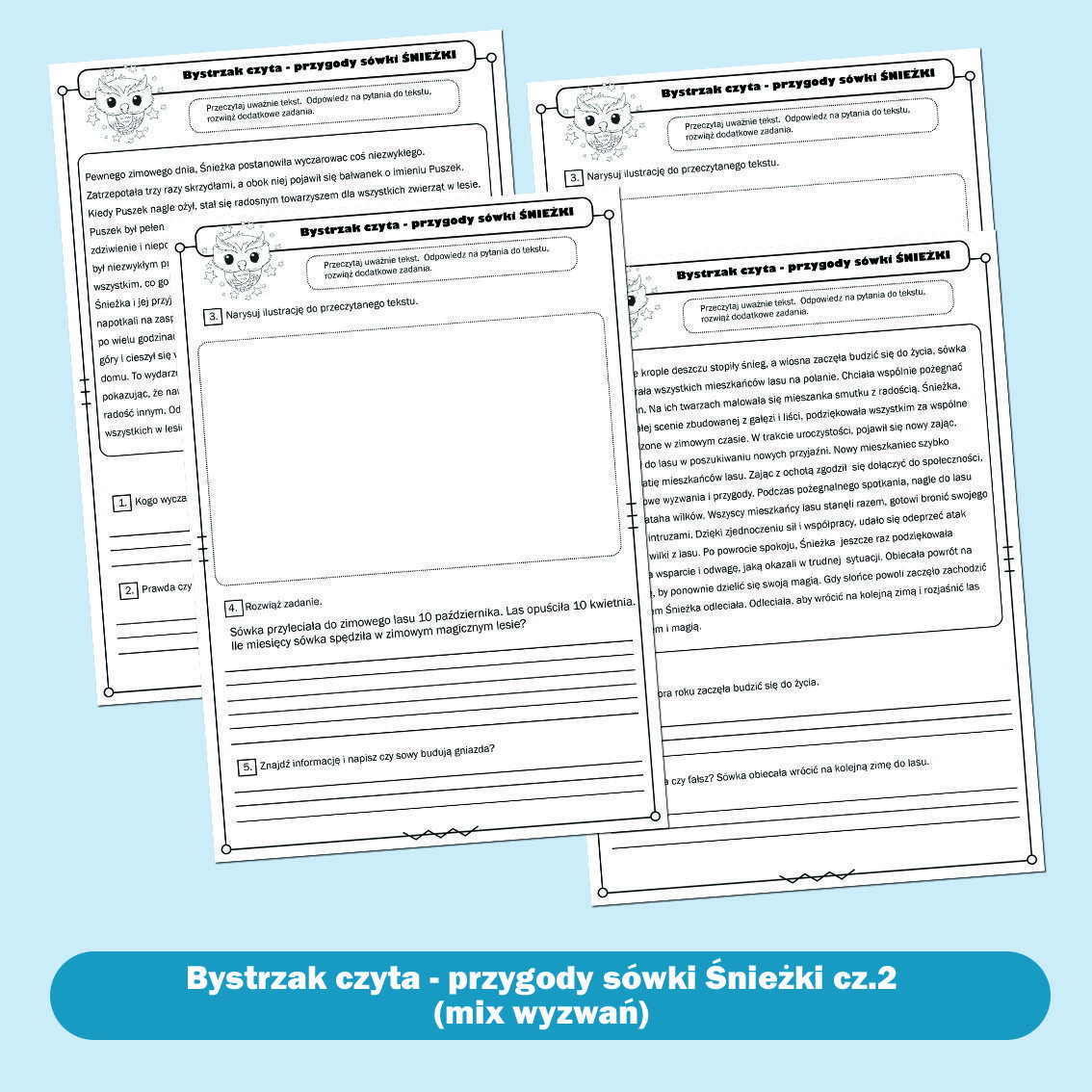 Bystrzak czyta- przygody sówki Śnieżki. Część druga.