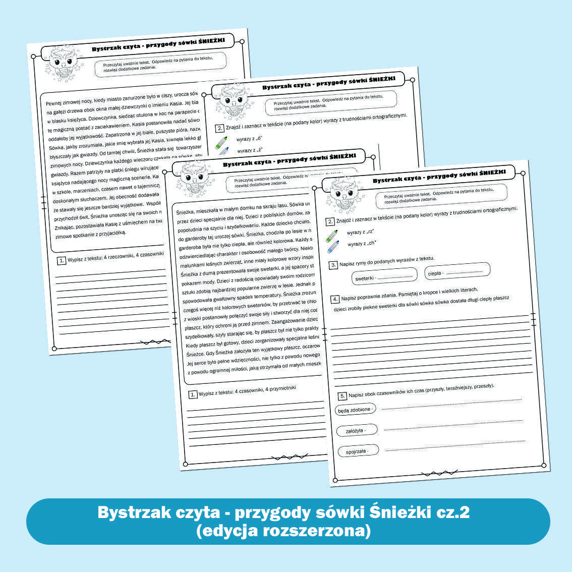 Bystrzak czyta- przygody sówki Śnieżki. Część druga.