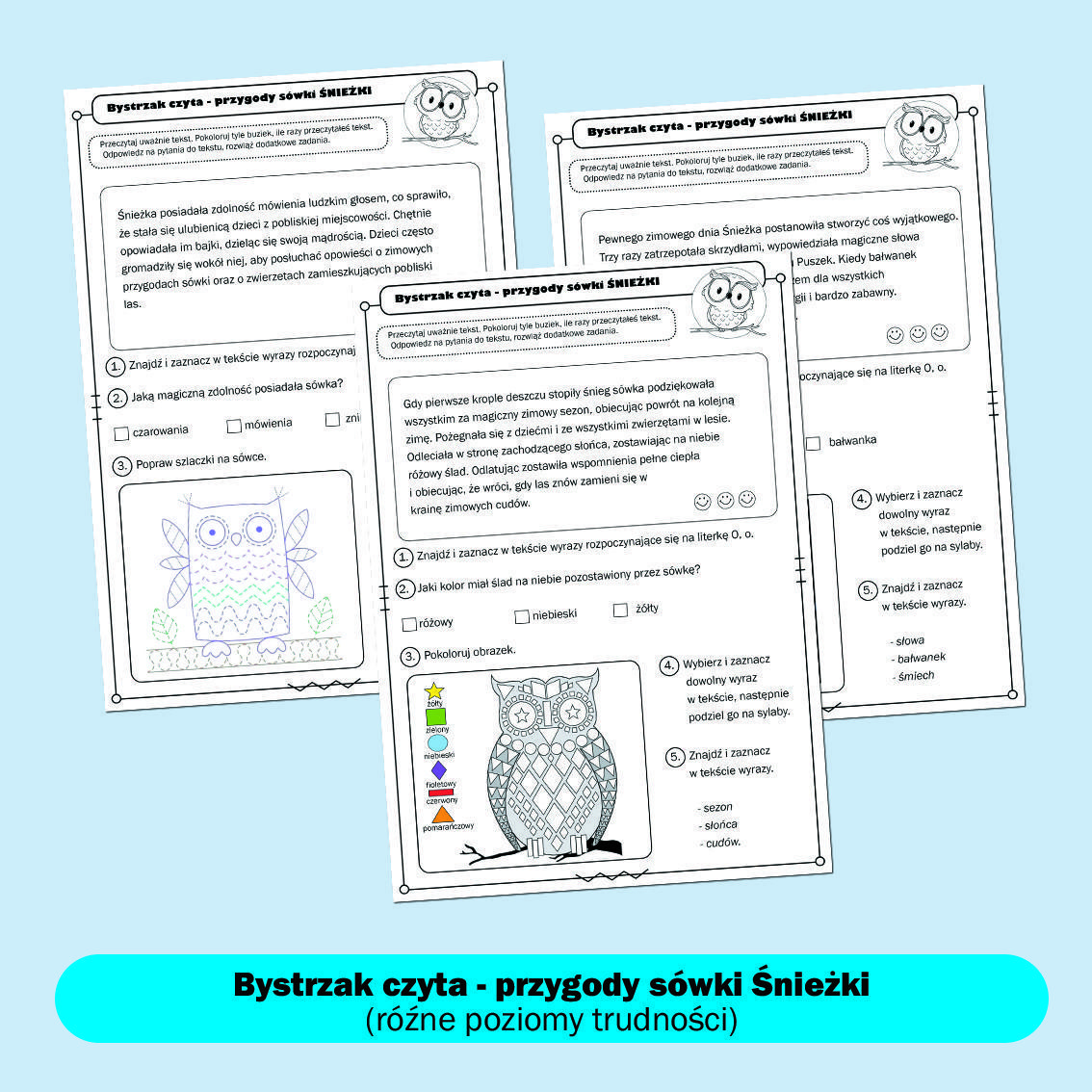 Bystrzak czyta- przygody sówki Śnieżki. Część pierwsza.