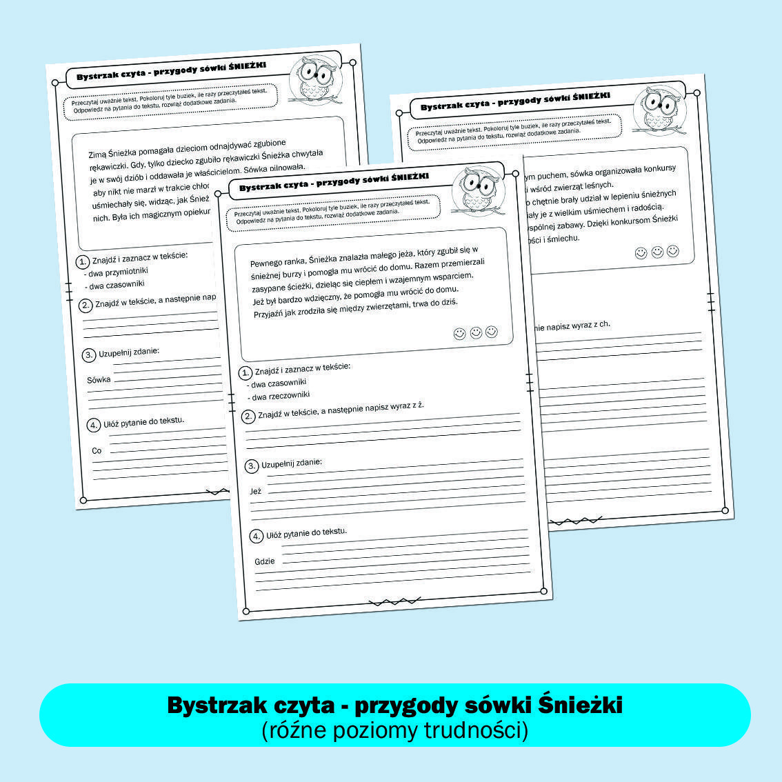 Bystrzak czyta- przygody sówki Śnieżki. Część pierwsza.