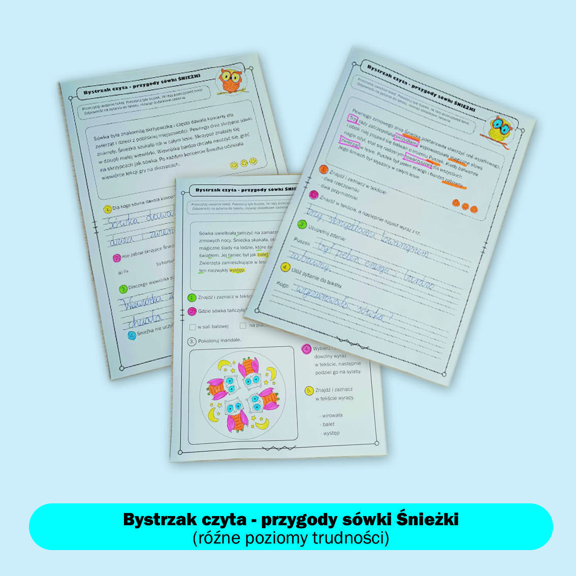 Bystrzak czyta- przygody sówki Śnieżki. Część pierwsza.