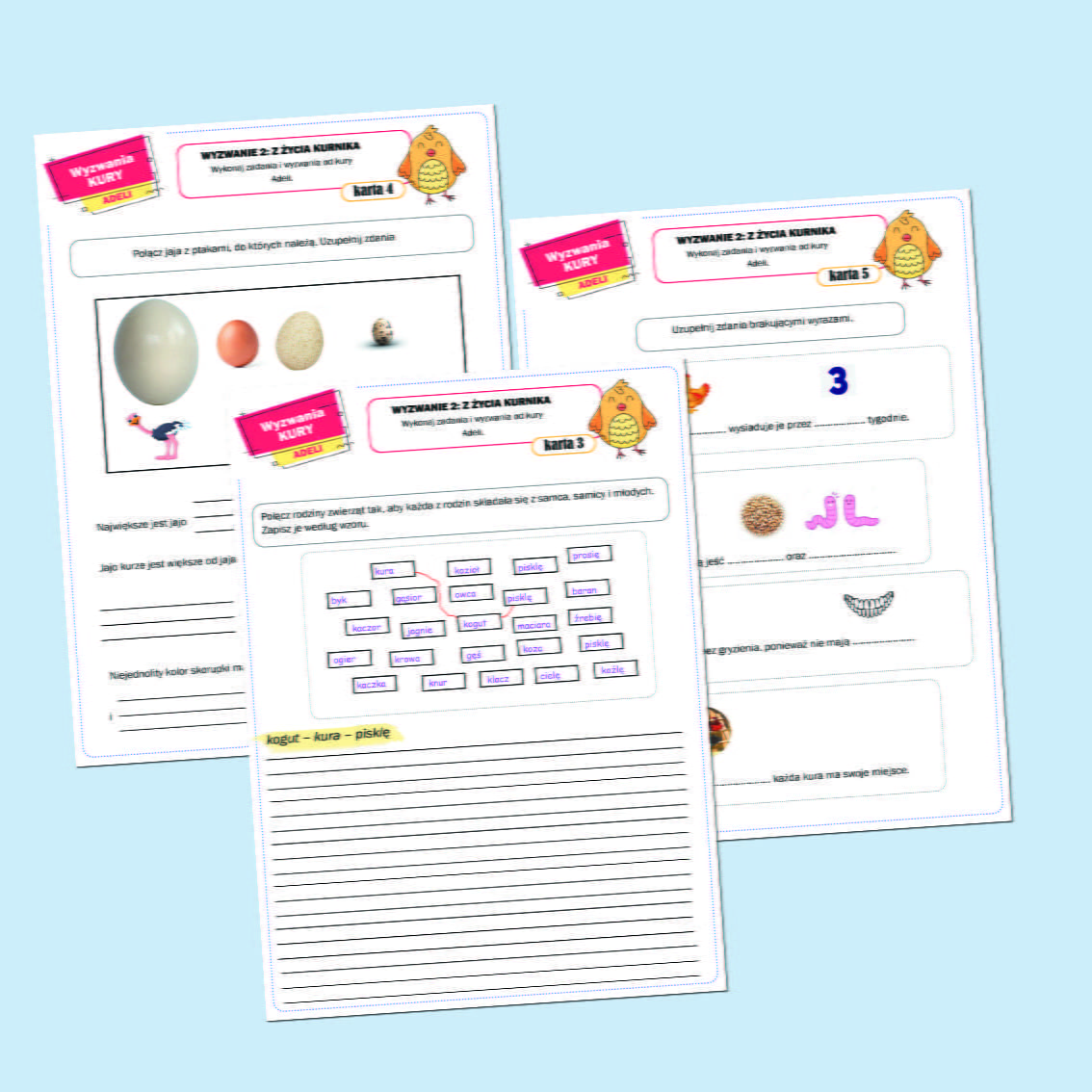 Wyzwania kury Adeli.