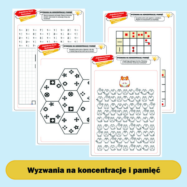 Mistrzowski Pakiet Edukacyjny.
