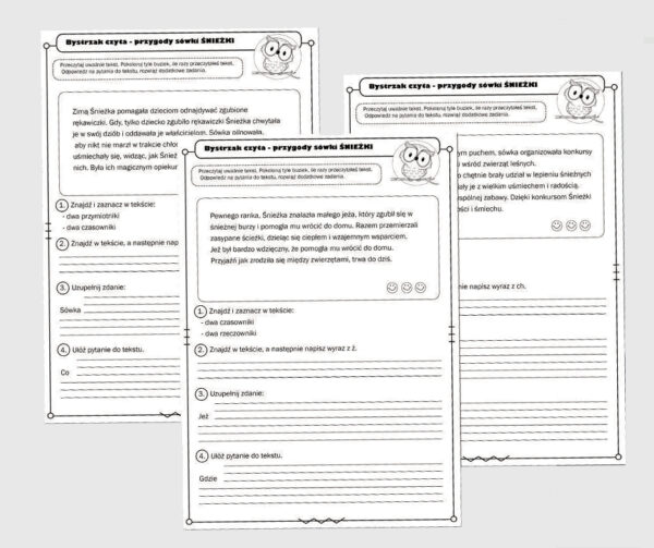 Czytaj ze zrozumieniem Pakiet